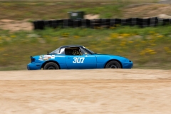 LDRL-AMP-26-307-4