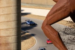 LDRLBarber-2025-342-14