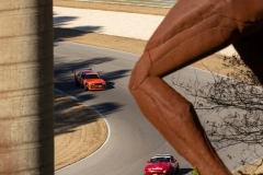 LDRLBarber-2025-771-11